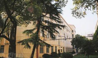 领科国际学校入学难度 上海国际学校ALEVEL